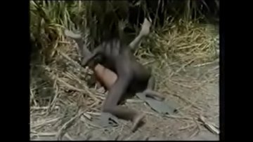 plaisantent avec esclaves plantation